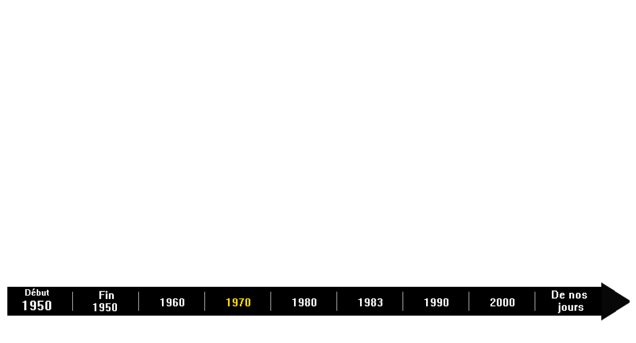 Page - Histoire des jeux vidéo - 70.png