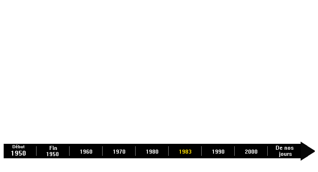 Page - Histoire des jeux vidéo - 83.png